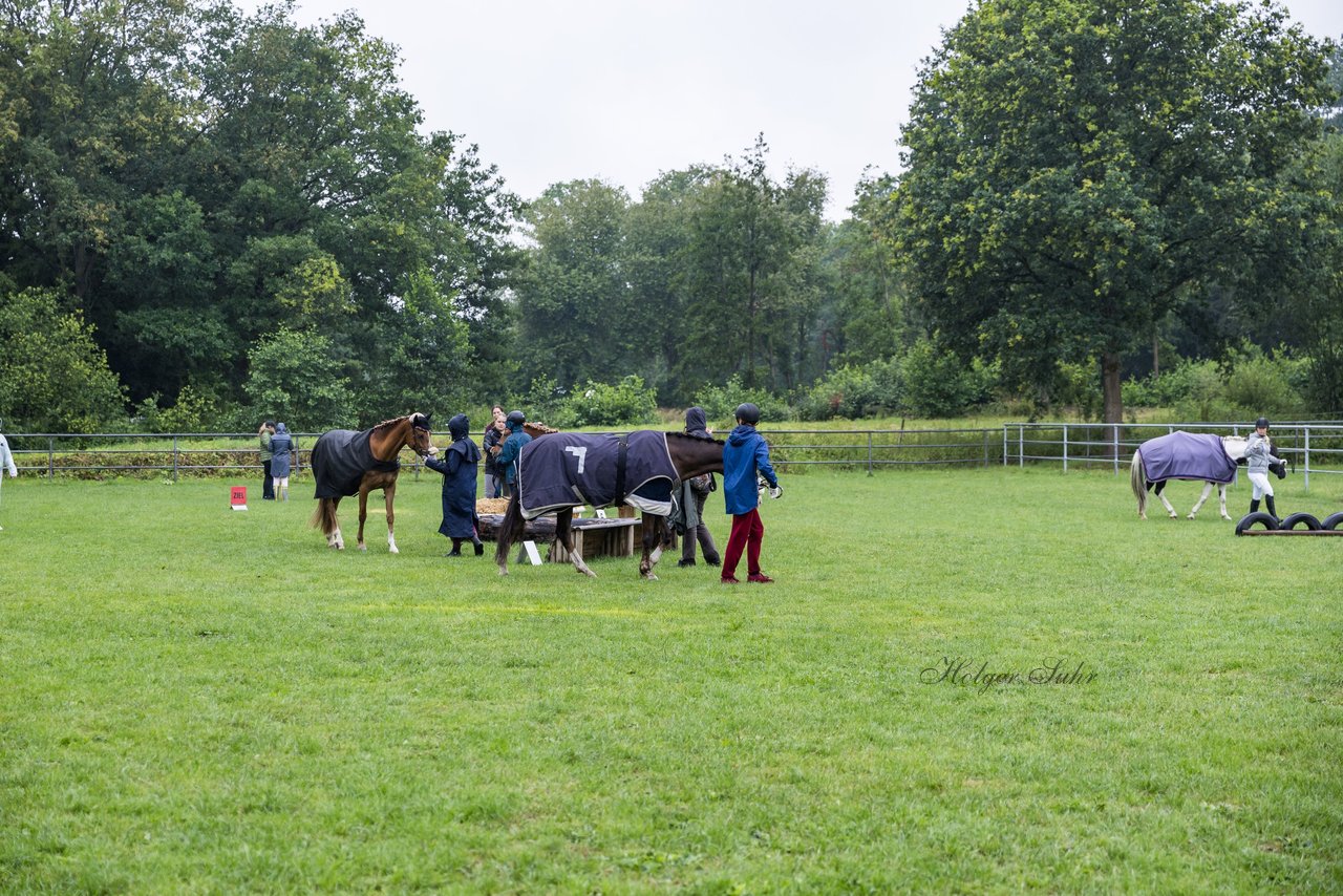 Bild 2 - Pony Akademie Turnier